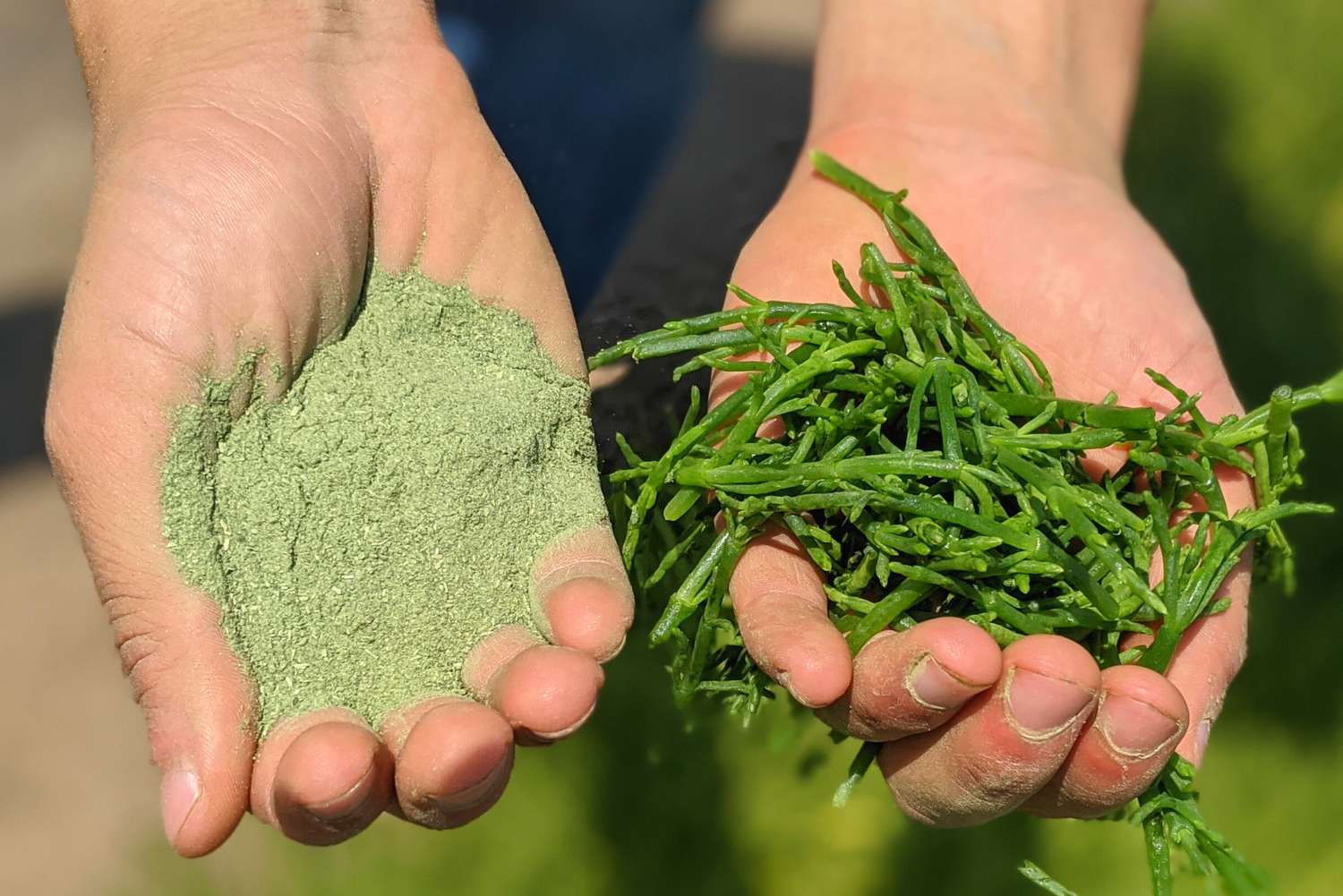 green salt