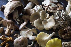a variety of mushrooms on a dark background