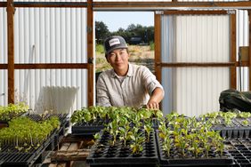 A person in a green house with a bunch of plant starters
