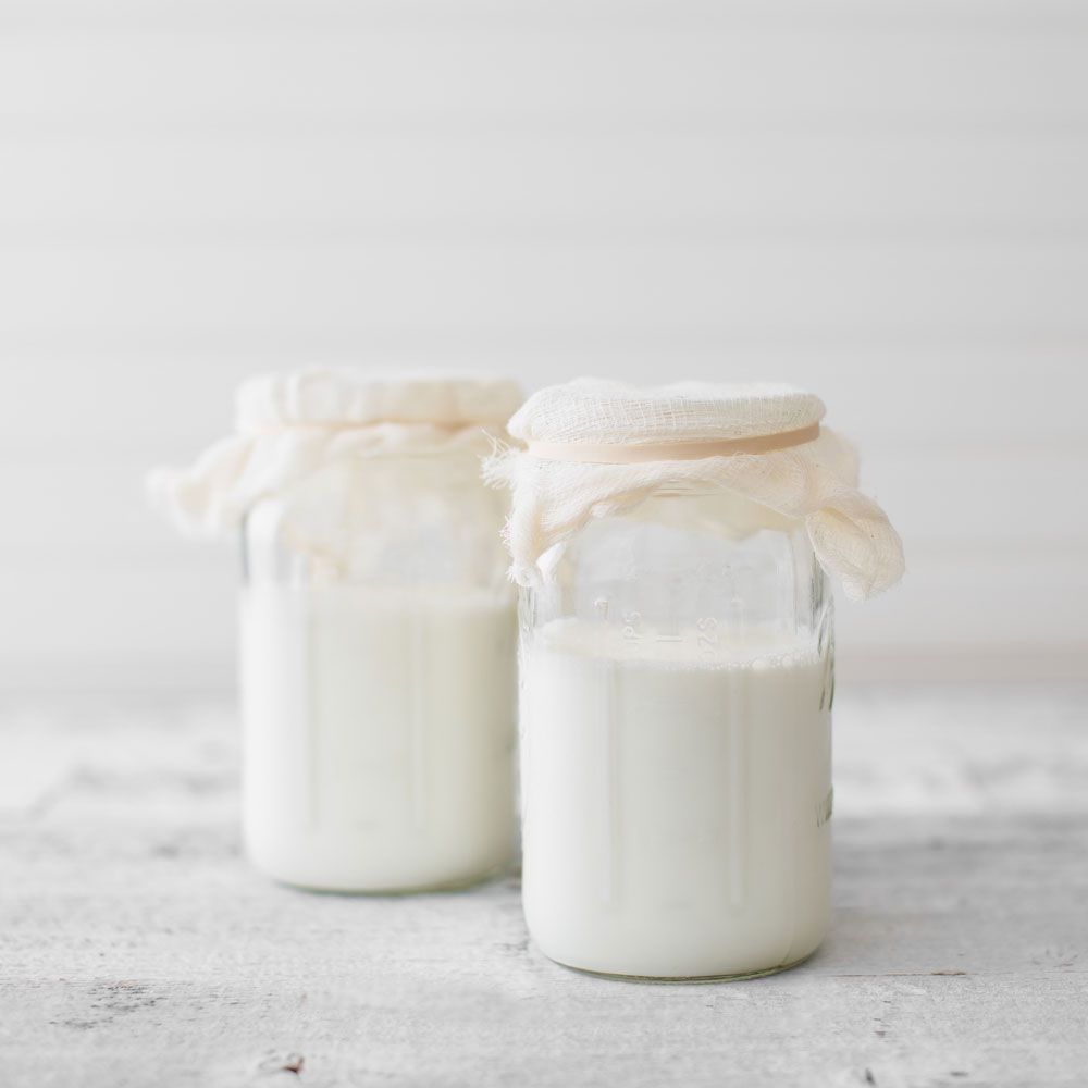 Milk Kefir