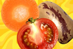 Cross-sections of a carrot, tomato, and a whole potato against a textured yellow background